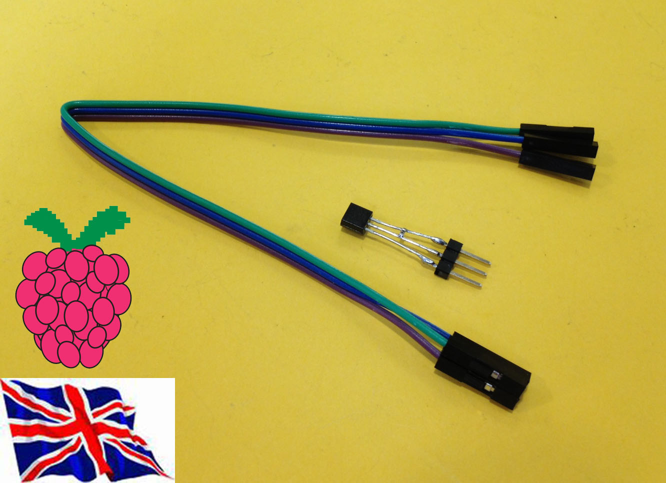 Rs- Pi  DS18B20 Temp Sensor