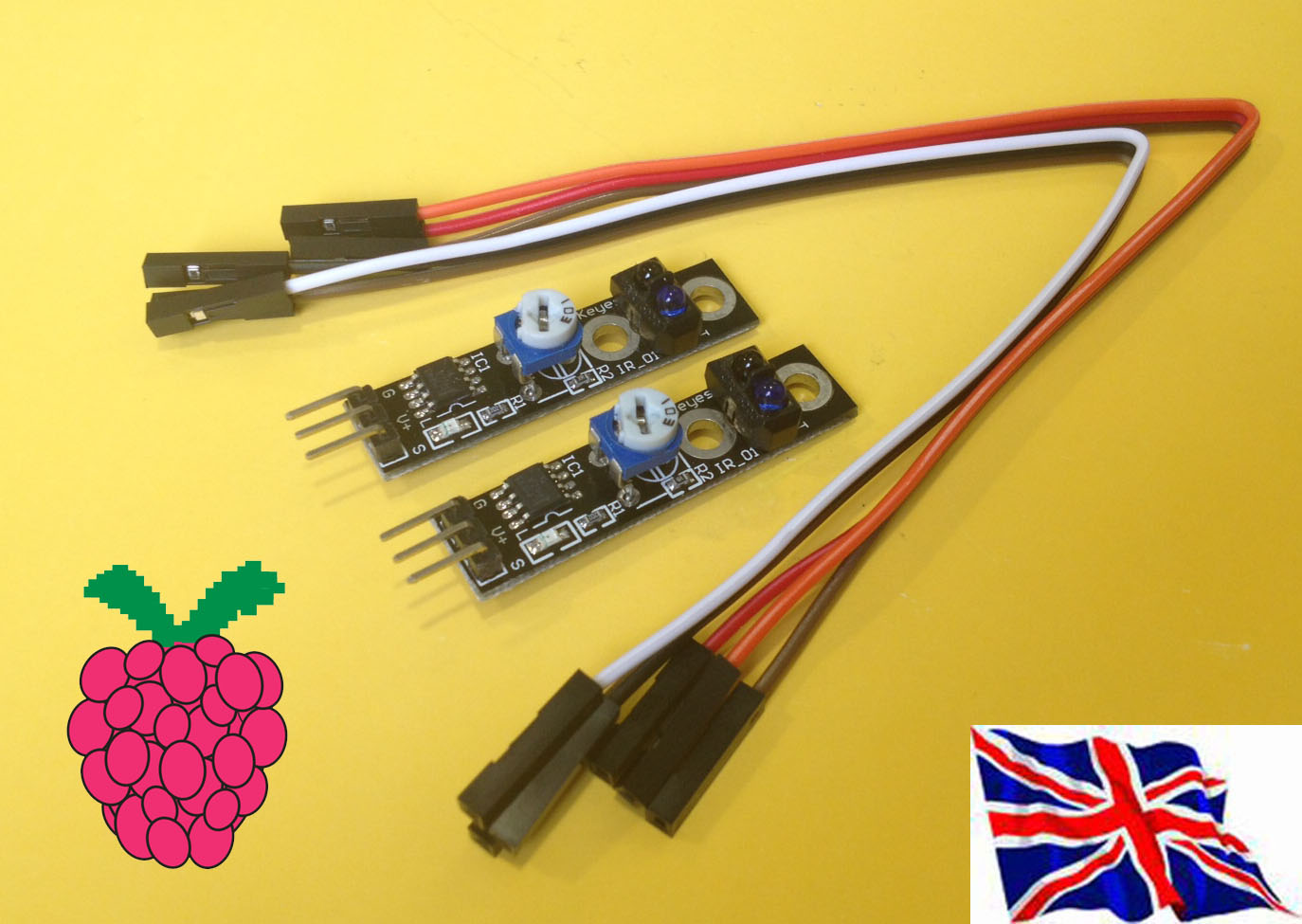 Rs- Pi IR Line Hunting Sensor  set